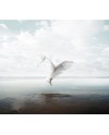 INKIOSTRO BIANCO THE WHITE SKY PAPEL DECORATIVO VINILICO