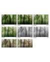 GLAMORA EQUATORIAL JUNGLE COLECCIÓN PAYSAGE PAPEL DECORATIVO