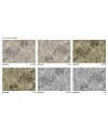 GLAMORA AIOLA COLECCIÓN BLOOM PAPEL DECORATIVO