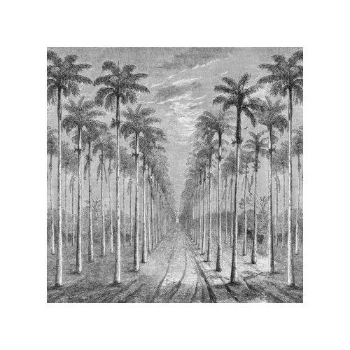INKIOSTRO BIANCO PALMERAIE PAPEL DECORATIVO VINILICO