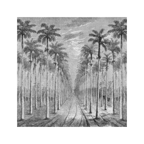 INKIOSTRO BIANCO PALMERAIE PAPEL DECORATIVO VINILICO