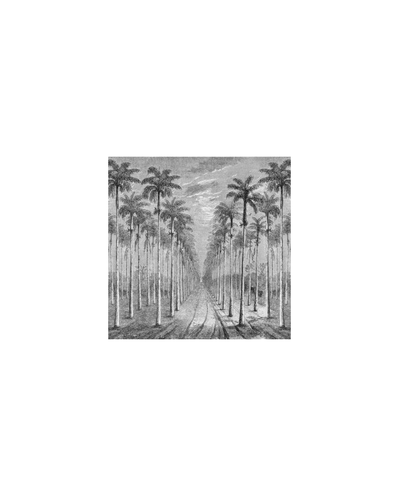 INKIOSTRO BIANCO PALMERAIE PAPEL DECORATIVO VINILICO INKIOSTRO BIANCO PALMERAIE PAPEL DECORATIVO VINILICO