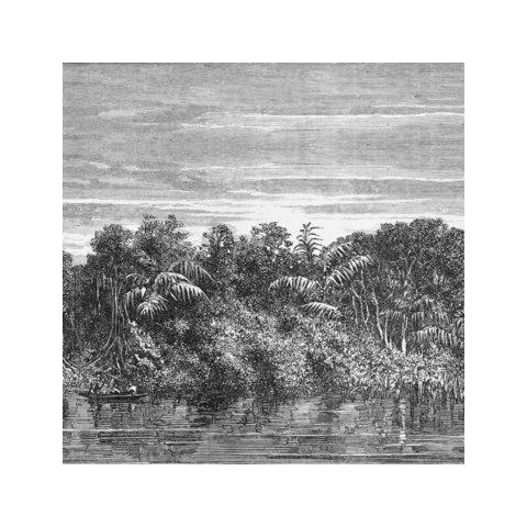 INKIOSTRO BIANCO JUNGLE PAPEL DECORATIVO VINILICO