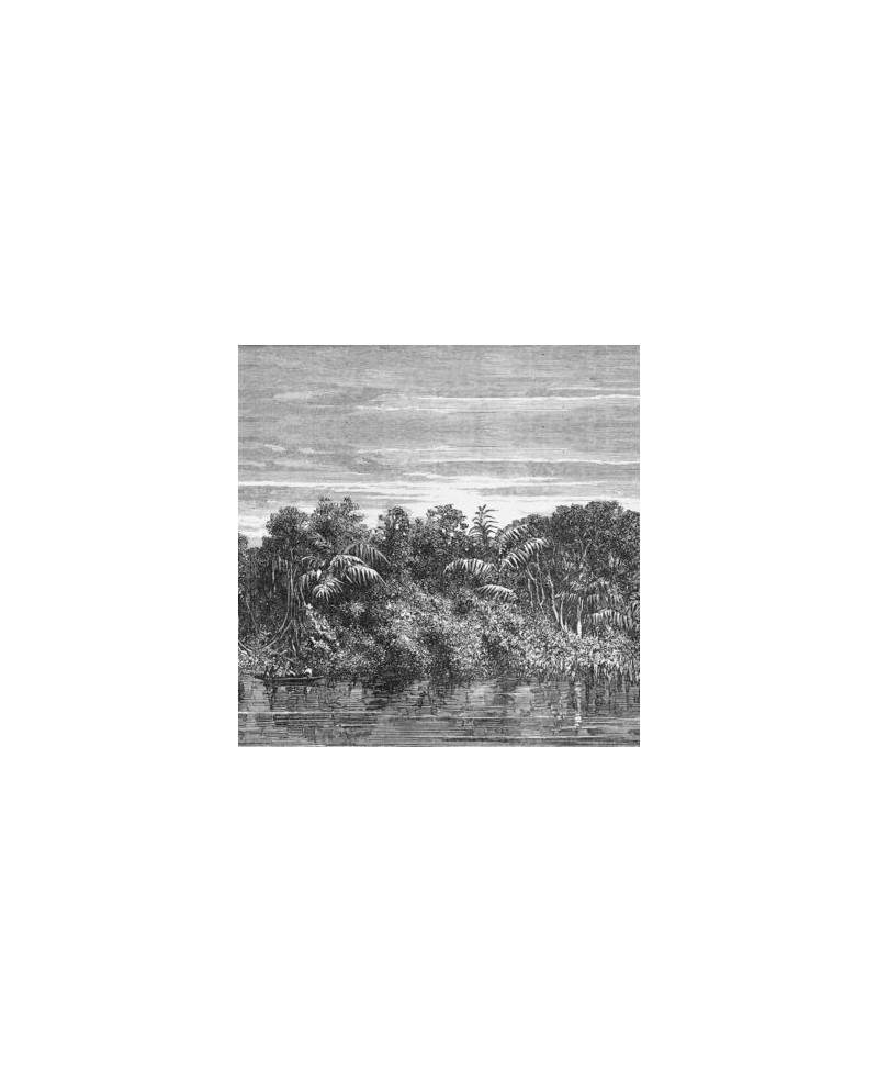 INKIOSTRO BIANCO JUNGLE PAPEL DECORATIVO VINILICO INKIOSTRO BIANCO JUNGLE PAPEL DECORATIVO VINILICO