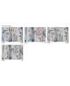 GLAMORA GLAMFUSION MAKAI PAPEL DECORATIVO