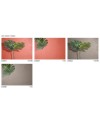 GLAMORA GLAMFUSION ALMA PAPEL DECORATIVO