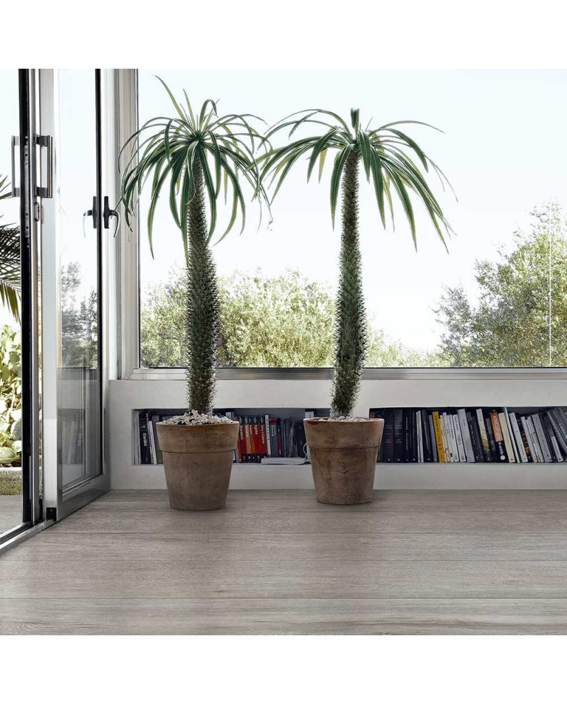 gran-formato-revestimiento-chimera-cedit-colore-gres-porcelanico-terra-ceramica gran-formato-revestimiento-chimera-cedit-colore-gres-porcelanico-terra-ceramica