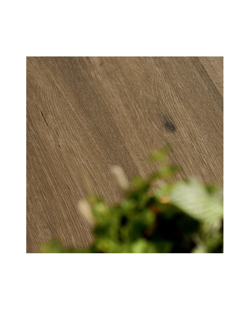 Woodtale es un porcelánico imitación madera de Ragno | Woodtale es un porcelánico imitación madera de Ragno |