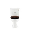 GENTRY HOME VICTORIAN INODORO MONOBLOQUE + ASIENTO MADERA